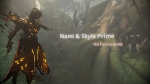 Nami & Skyla Prime no Forma Build - Warframe