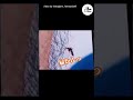 防御力100を見せつける剛毛 | panda情報局