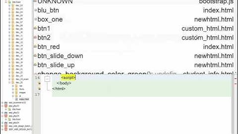 SEIP Web Design Batch-24 day 25
