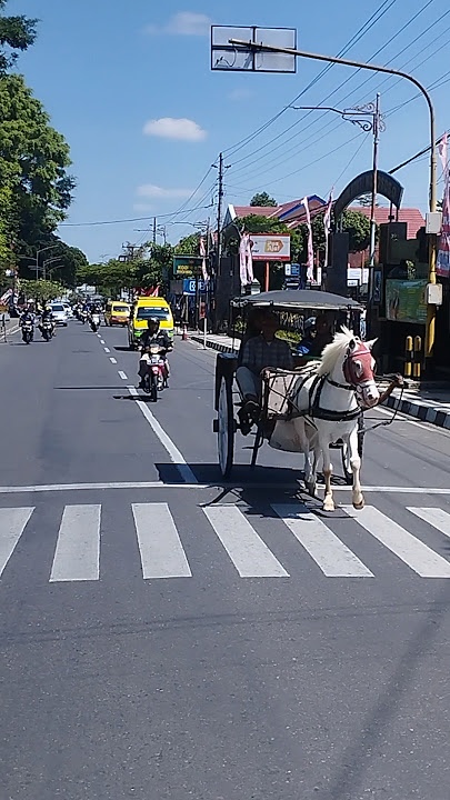 Indahnya wonosobo asri #tni #polri #paskibra #wonosobo