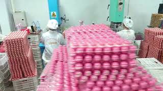 Factory audit services, factory verify, factory inspection before place order.