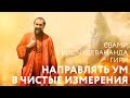 Сатсанг "Направлять свой ум только в чистые измерения". Свами Вишнудевананда Гири