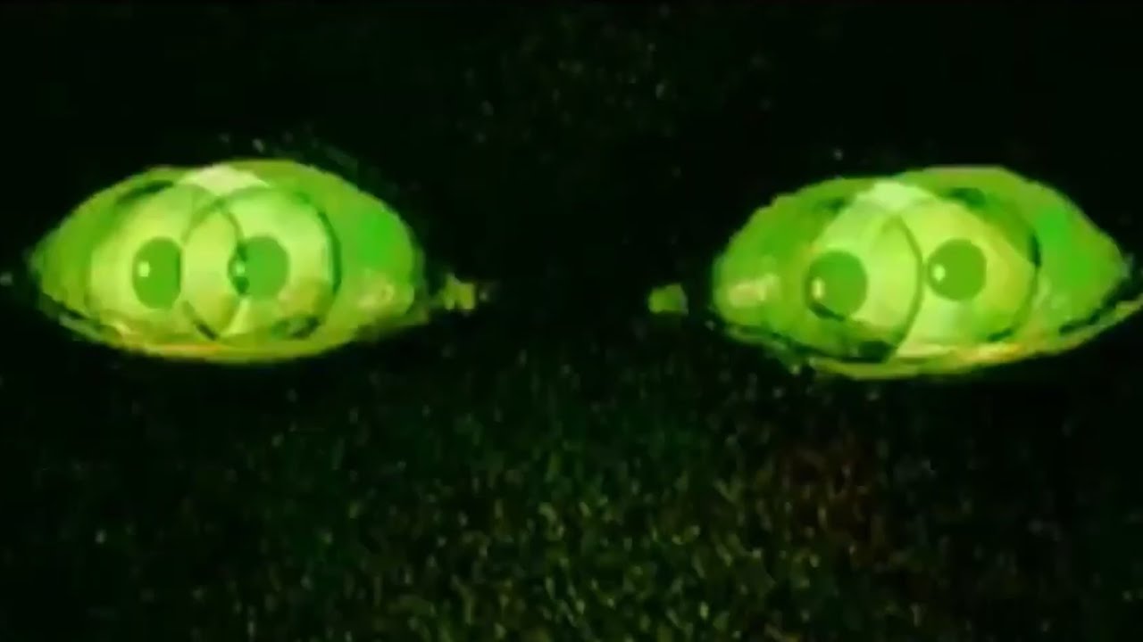 KAIO, THE REAL - EVIL / LIVE (Official Music Video)