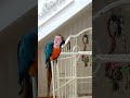 Даже не знаю что сказать  #мем  #юмор #смехпродлеваетжизнь