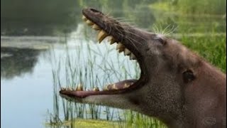 ночной дьявол | животные через 50 миллионов лет вперёд