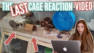 the FINAL reacting to my subscribers hamster cages!
