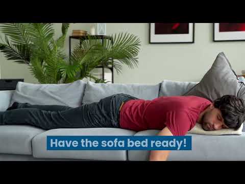 Bargoose Sofa Sleeper Sheet