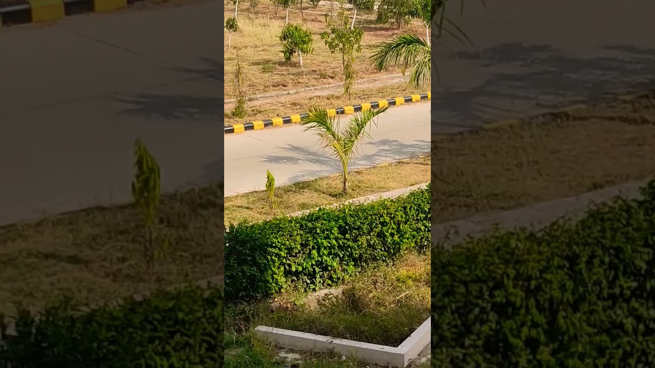 #̤y̤t̤s̤h̤o̤r̤t̤s̤