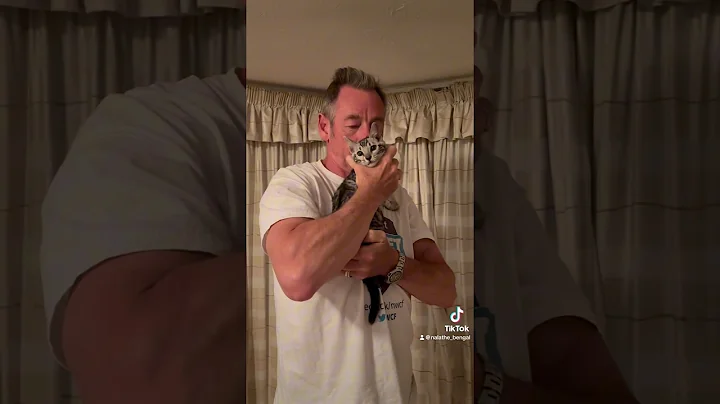 Video 5075431: bengal cats love, cat kittycat