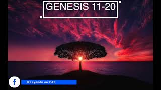 BIBLIA TEXTUAL GENESIS CAPITULO 11 AL 20 AUDIOLIBRO LECTURA ASMR MEDITAR, DORMIR, SUSURRO, DESCANSAR