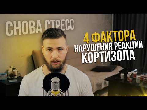 Надпочечники и Кортизол / Управление стрессом