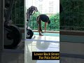 Lower Back Stretches For Pain Relief#shorts #fitness #yoga #hipstretch #stretchroutine #easystretch