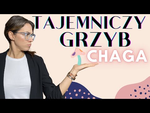 Wideo: Jak Zaparzyć Grzyby Chaga