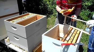 Part 2-Update to Deep Frame Nuc installed in Medium Boxes - Plus a Merge