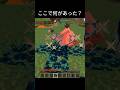 足の震えが止まらない😱#マイクラ #minecraft