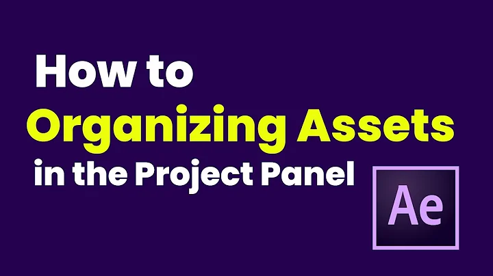 How to Organizing Assets in the Project Panel in After Effects CC 2021