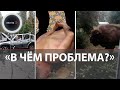 Взятки в МРЭО | Поджог на 11 миллионов | Провели газ за 2 месяца | Электропастух для беглого зубра