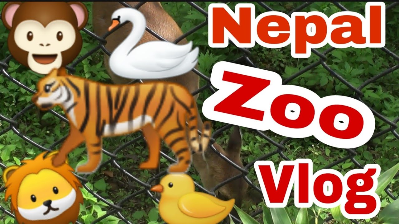Zoo visit in nepal zoo YouTube