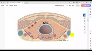 2025 ATA Guidelines for Adult Patients with Differentiated Thyroid Cancer Profile