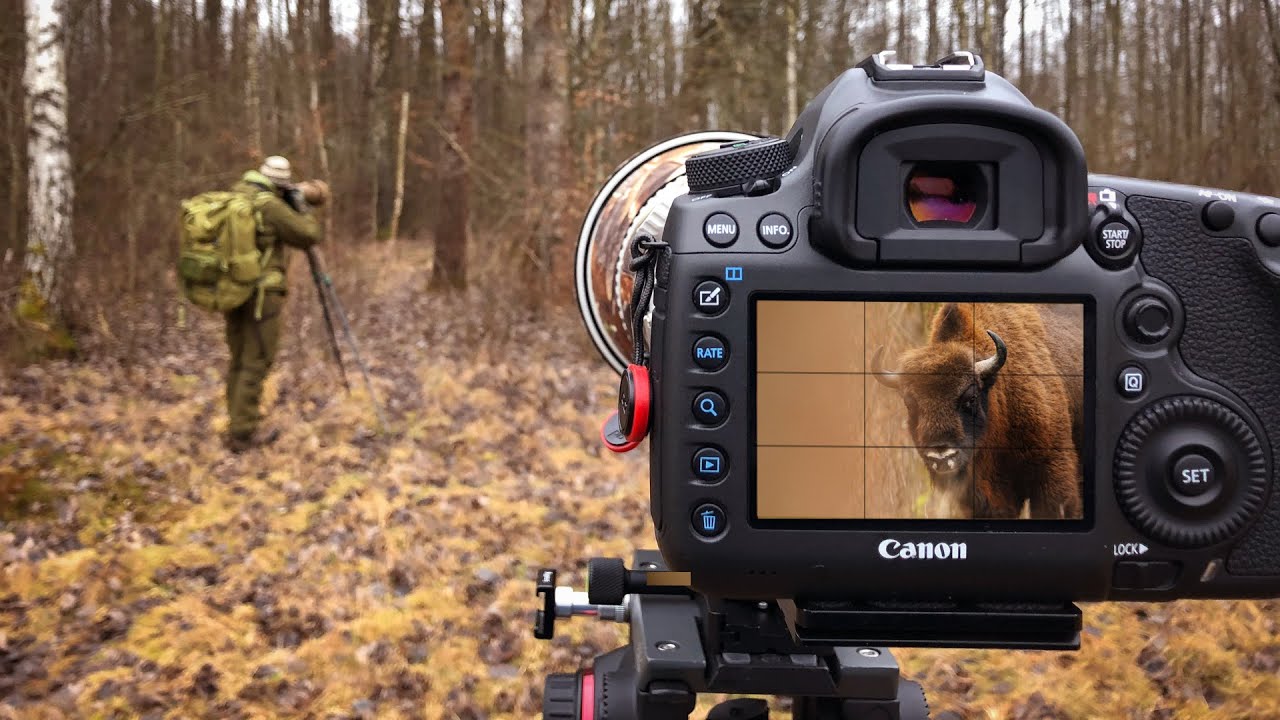 Waited 10 days for this moment - Poland | PART 3