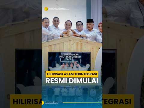 HILIRISASI AYAM TERINTEGRASI RESMI DIMULAI