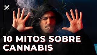 LOS 10 MITOS MÁS GRANDES SOBRE LA MARIHU*N*