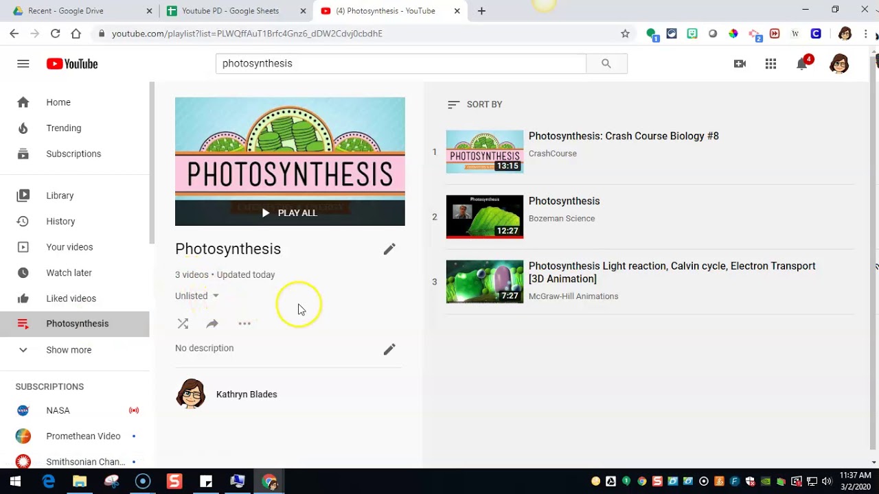 Ganze Youtube Playlist Downloaden Online