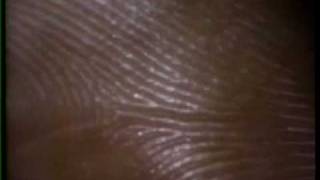 Sesame Street - Look a Little Closer (hand) Profile