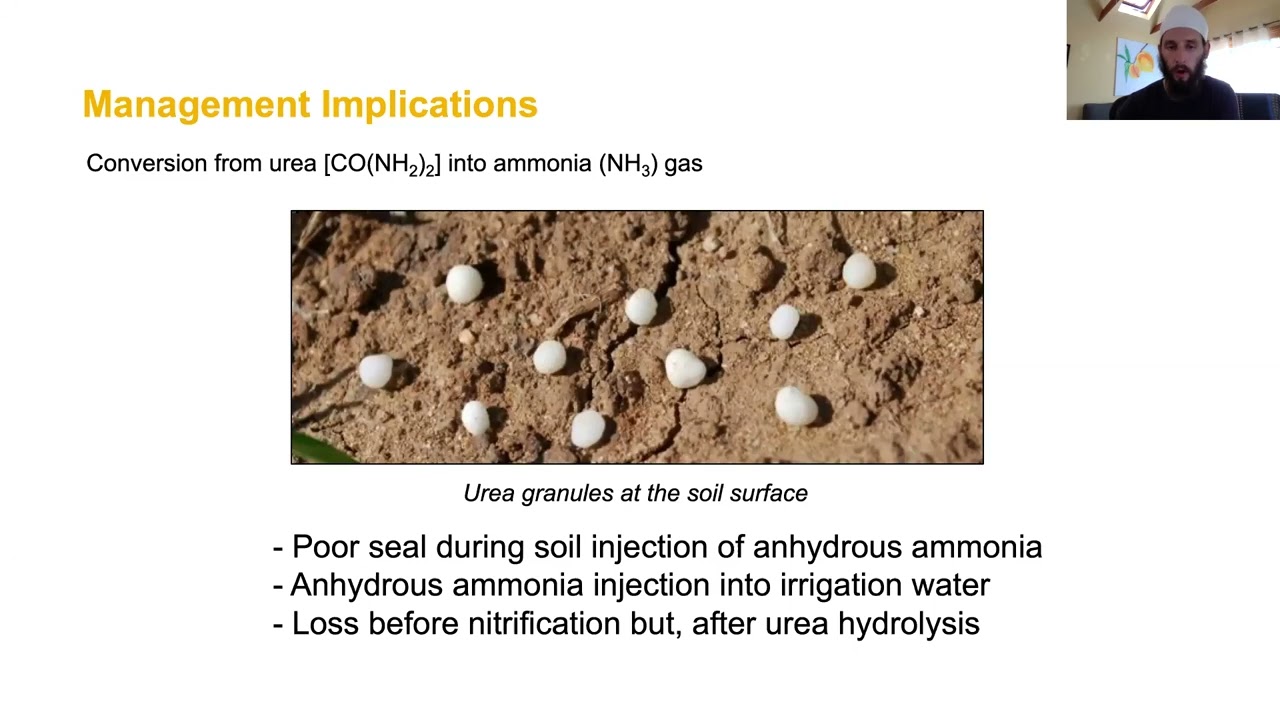 Модуль 2, Часть 2: Круговорот азота и почвенные преобразования: испарение, выщелачивание и денитр...