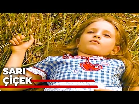 Sarı Çiçek - Kanal 7 TV Filmi