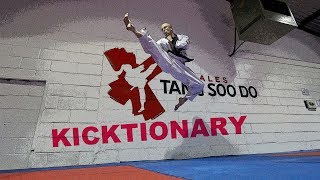 TANG SOO DO Kicktionary (200 Kicks)