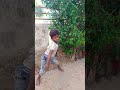 Nacha ye balamua khesari style mein akash 9569 king dancer short youtubeshorts