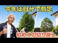 【伸びすぎた庭木を小さくする】切り戻し剪定を初心者向けに徹底解説