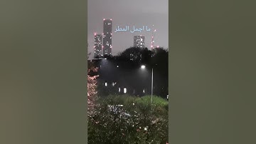 تلاوة خاشعة للشيخ محمد المحيسني سورة البينة