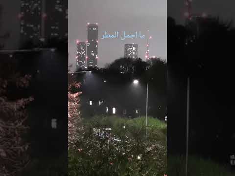 تلاوة خاشعة للشيخ محمد المحيسني سورة البينة