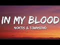 Noktis Townsend In My Blood Lyrics 7clouds Release mp3