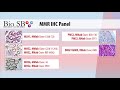 Bio sb  2020 mmr mismatch repair immunohistochemistry panel