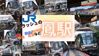 【朝ラッシュのJR鳳駅】特急はるか/くろしお　関空・紀州路快速　普通などがどんどん発着！