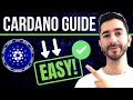How To Choose A Cardano Stake Pool Simplified