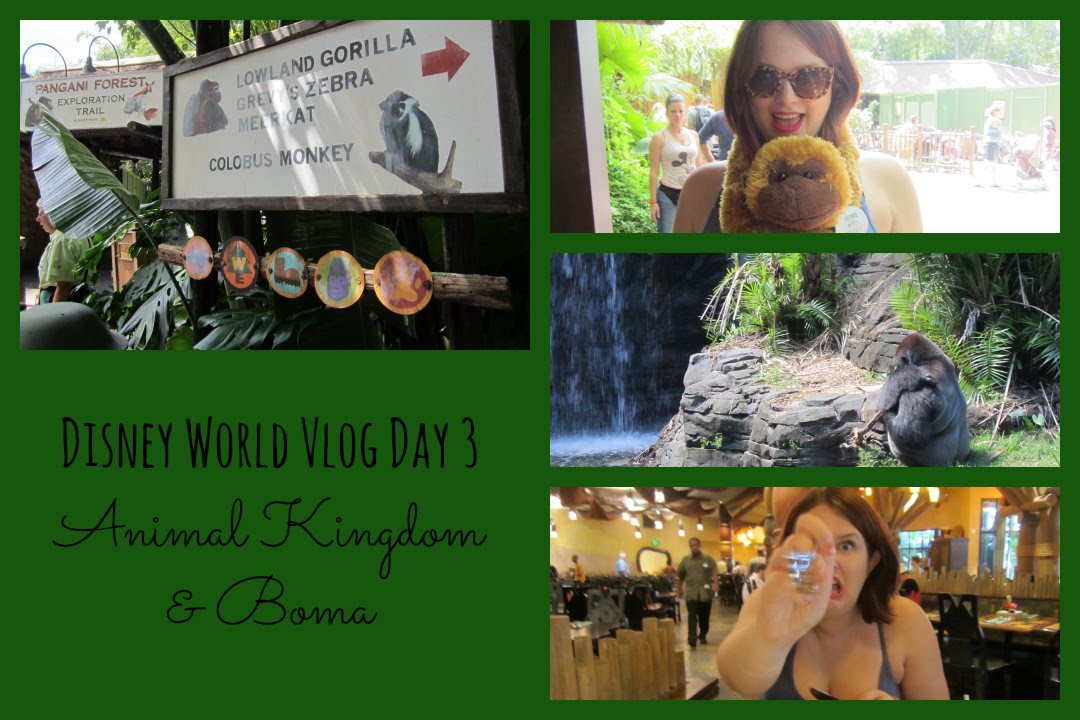 Disney World Vlog | Day 3 | Animal Kingdom and Boma | Gillian At Home