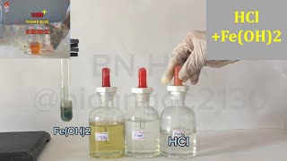 Fe(OH)2 TÁC DỤNG VỚI DUNG DỊCH HCl #thinghiemhoahoc #HCl #hoacobichngoc