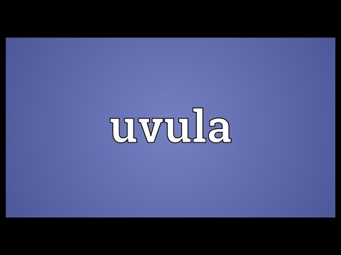 Uvula Meaning