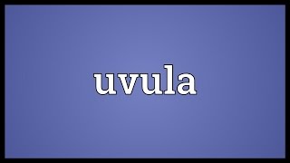 Uvula Meaning