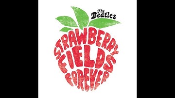 Todd Rundgren sings the Beatles