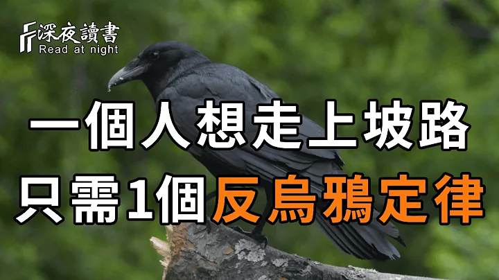 一个人的心境，决定了他的处境！当你处在人生低谷时，只需要看懂这个反乌鸦定律，一切都会顺起来【深夜读书】 - 天天要闻