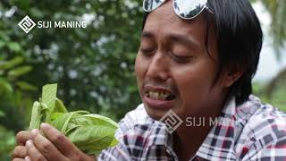 #8 Hantu Jadi-Jadian | Film Ngapak Lucu | Siji Maning (Translate Bahasa Indonesia)