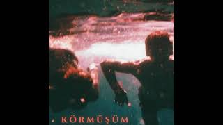 Alt Komşu - Körmüşüm Resimi