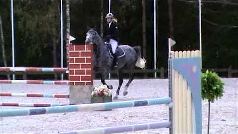 Faustka 6y.o, old, mare, hunter. junior. easy to ride Faust Z/ Cavallo/CorradoI hol