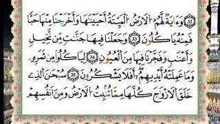 SurahYaSin almushaf almu3alem Rewayat Warsh Mahmoud Khaleel Al Husary