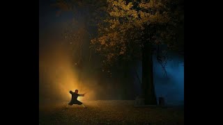 Turorial: advanced ji ben gong